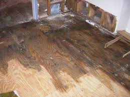 Hardwood Floor Water Damage Restoration Denver